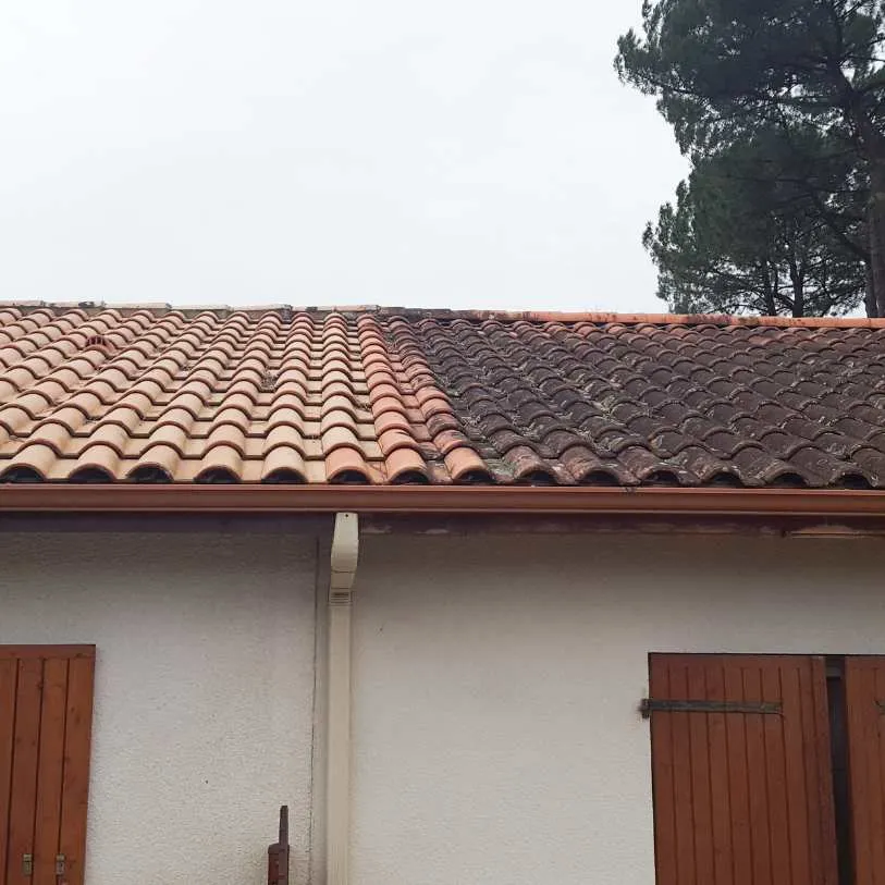 démoussage de toit à Thouars (79100)