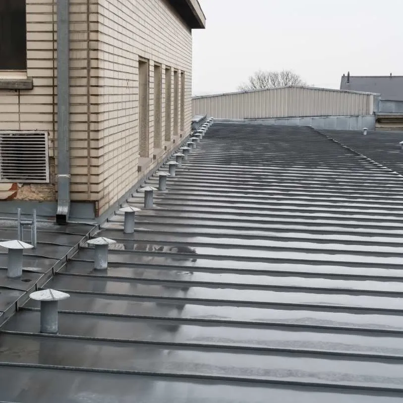 Pose de gouttières, chéneaux et travaux de zinguerie